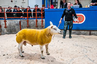 Longtown Ram Fair-03